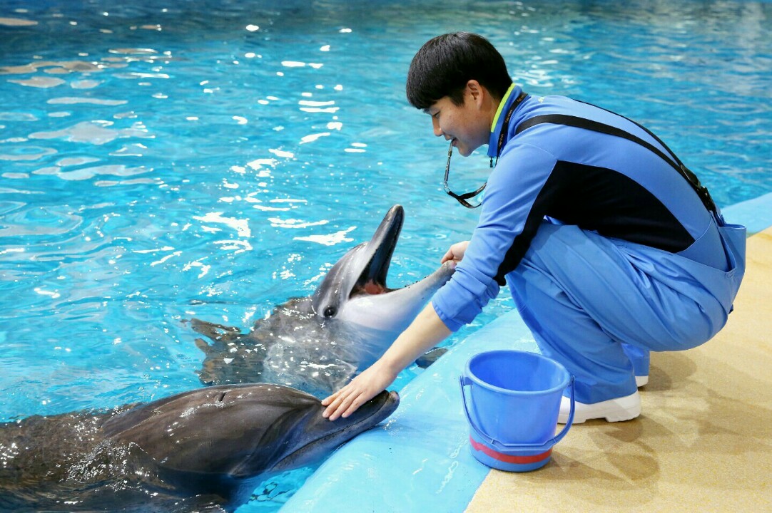 김호진(반려동물과).jpg